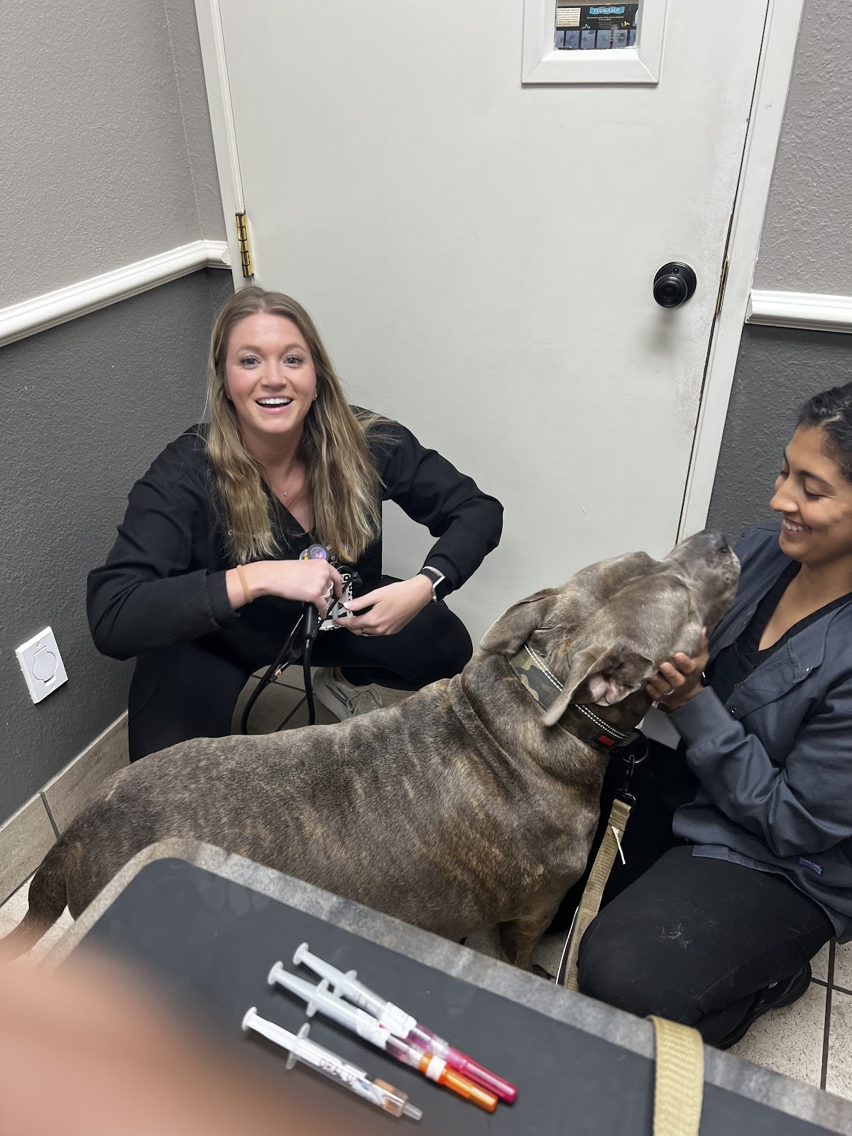 Valley Ranch Pet Clinic - doctors in Irving, TX (Photo 1)