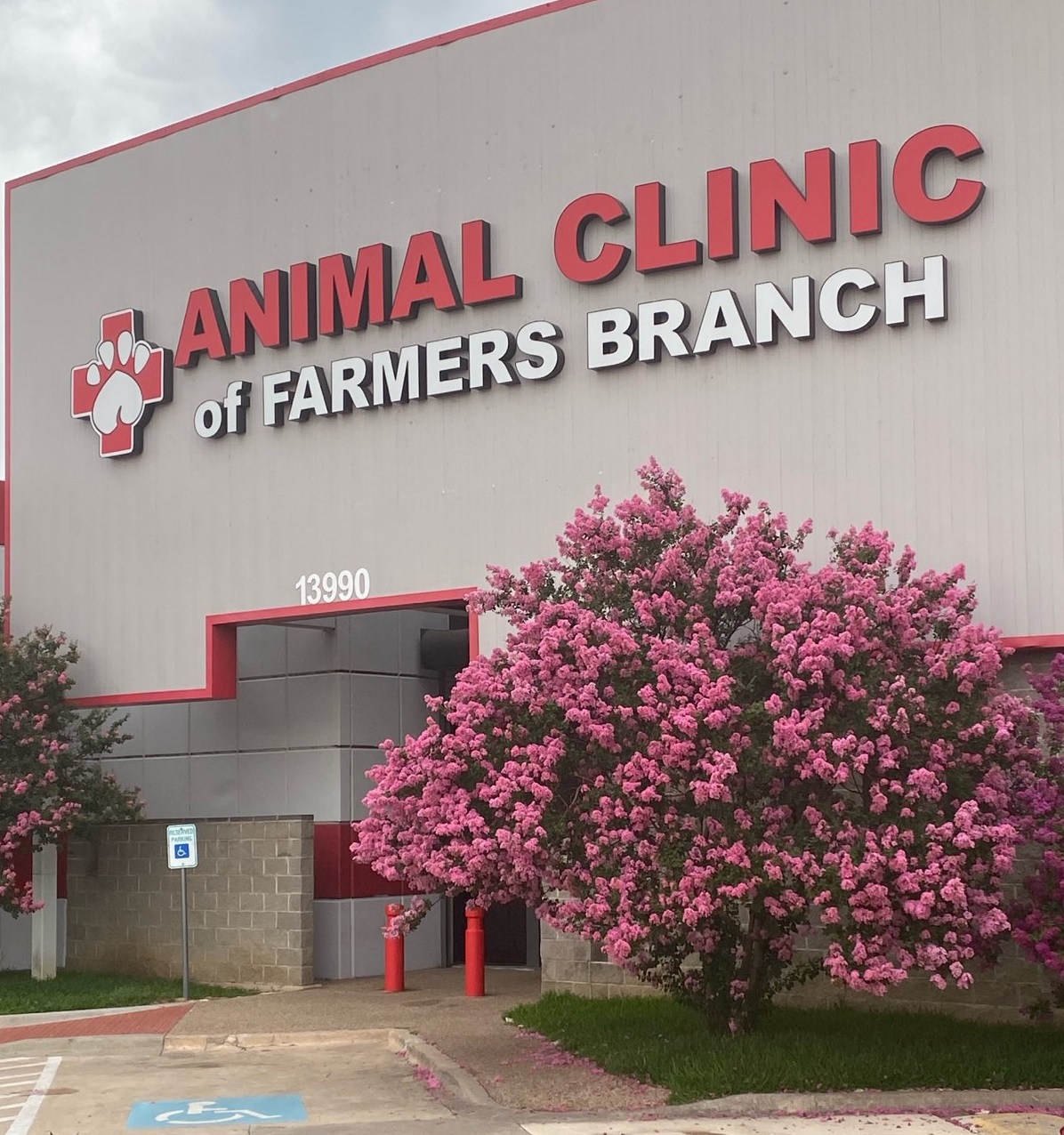 Animal Clinic of Farmers Branch - doctors in Dallas, TX (Photo 1)