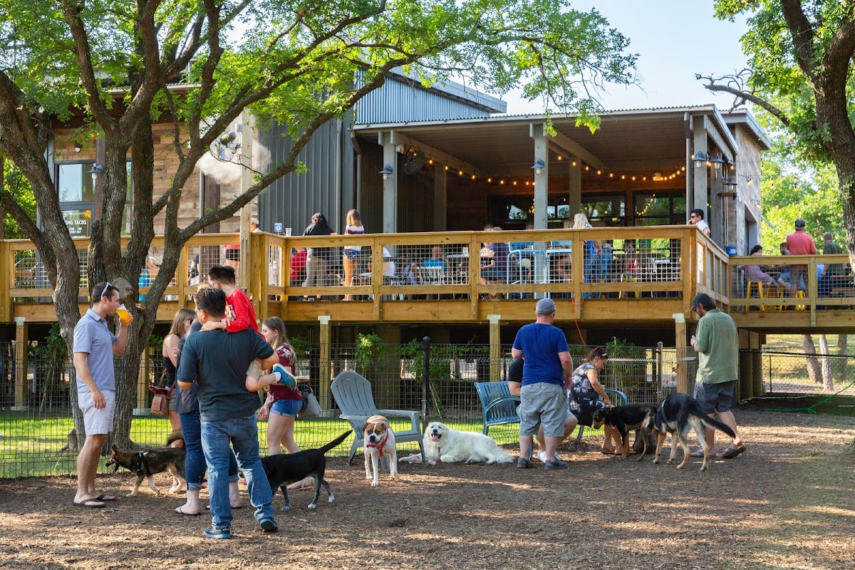 Shake Shack - restaurants in The Colony, TX (Photo 1)