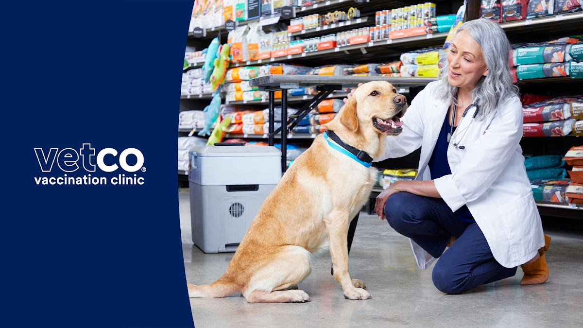 Vetco Vaccination Clinic - doctors in Irving, TX (Photo 1)