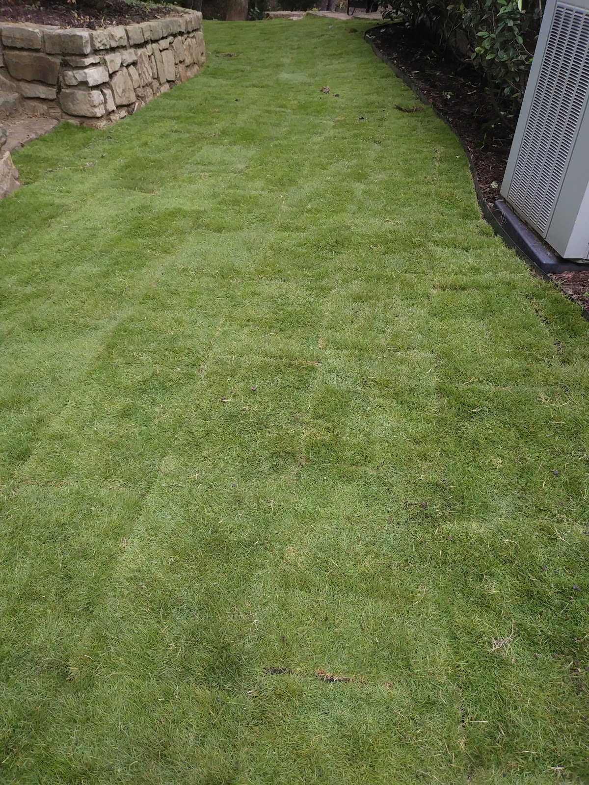 Sanchez Lawn Service - shopping in Lewisville, TX (Photo 1)