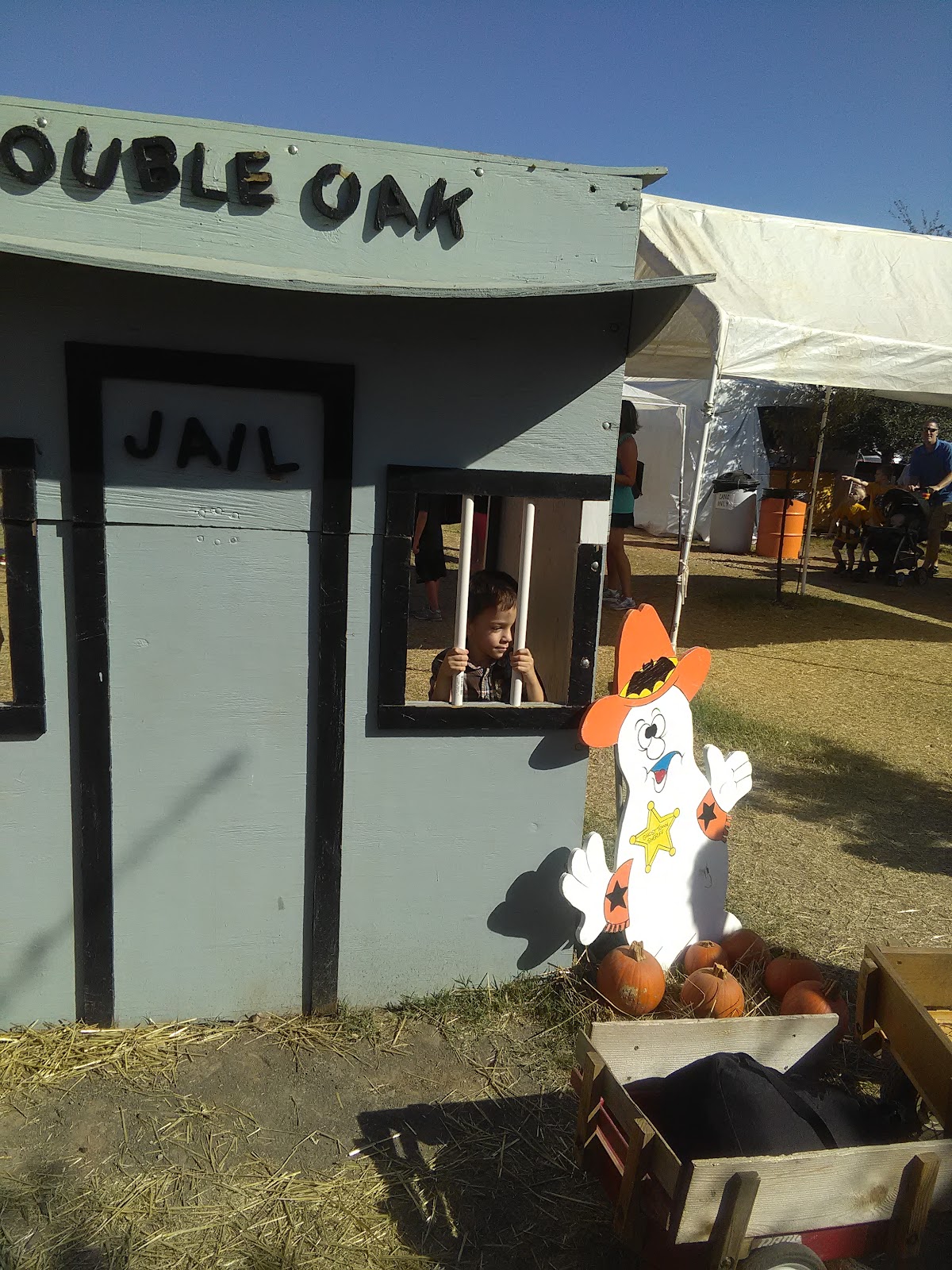 Flower Mound Pumpkin Patch - attractions in Flower Mound, TX (Photo 1)
