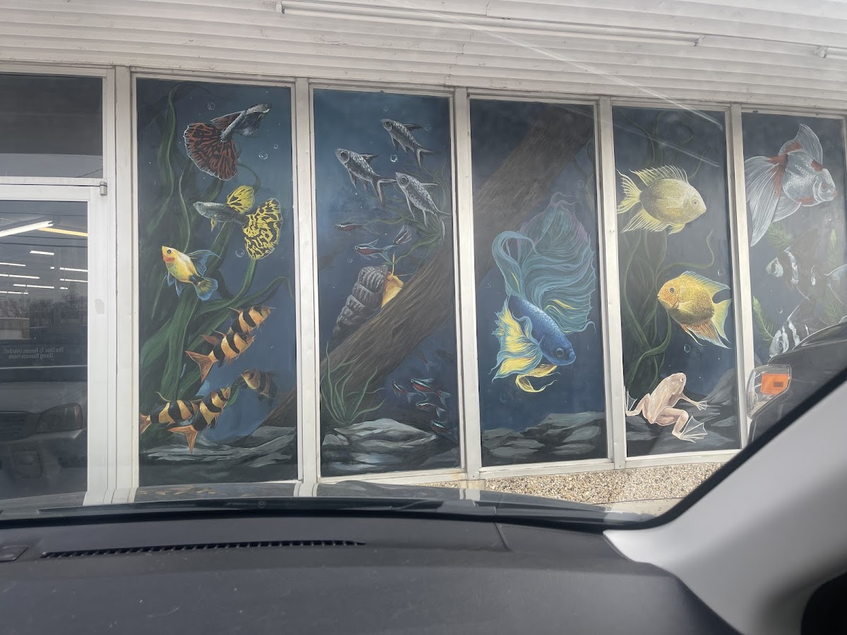 Texas Aquatics - shopping in Fort Worth, TX (Photo 1)