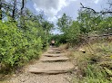 Hiking Yoga - yoga-studios in Dallas, TX (Photo 5)