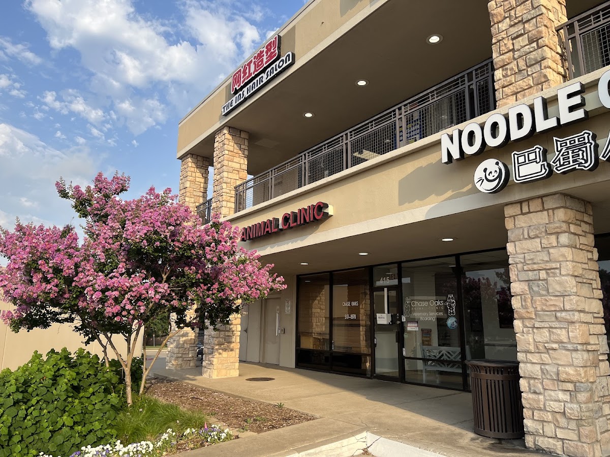 Chase Oaks Animal Clinic - doctors in Plano, TX (Photo 1)