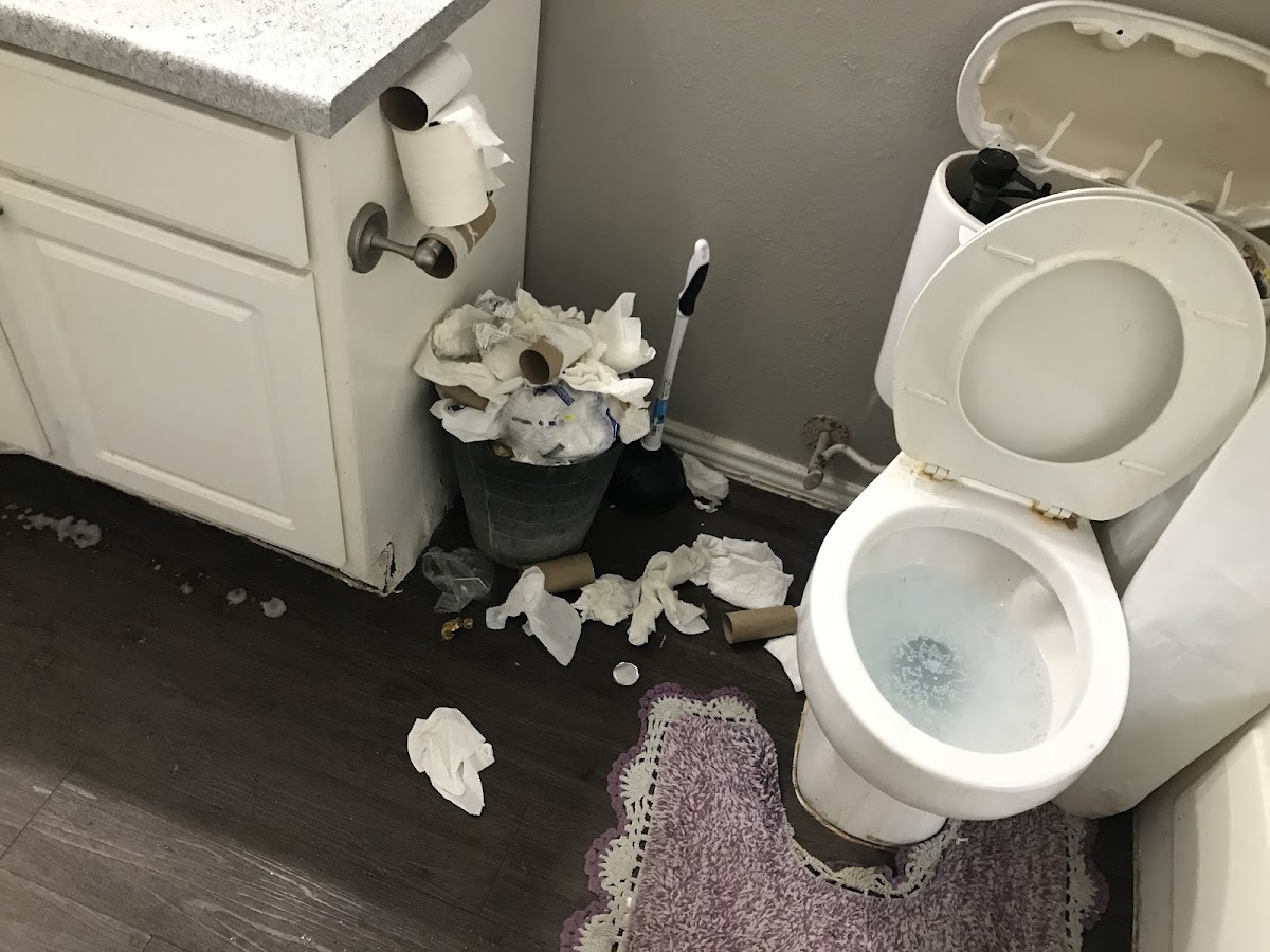 CasaBella Cleaning - shopping in Plano, TX (Photo 1)