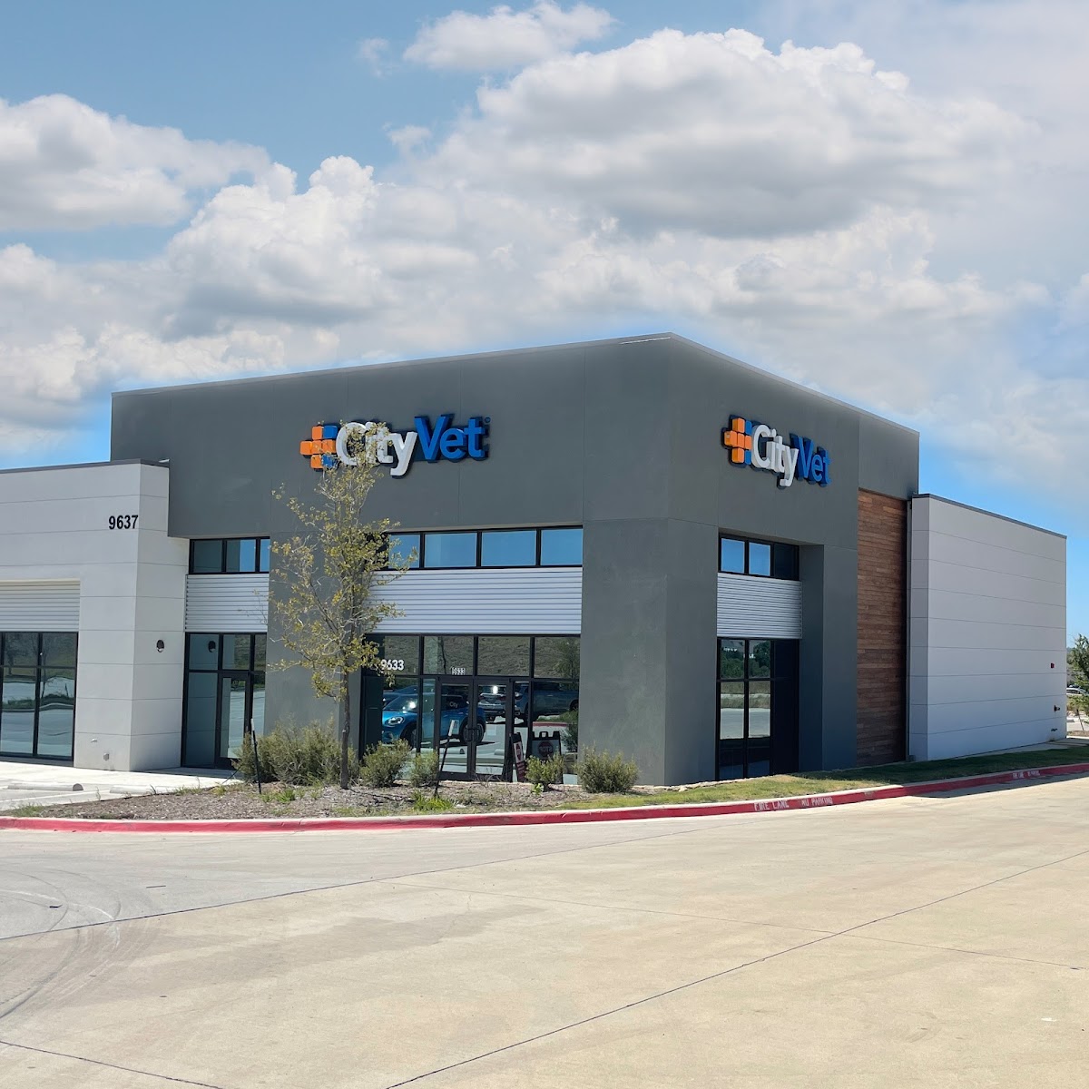 CityVet | Alliance Veterinary Clinic & Urgent Care - doctors in Fort Worth, TX (Photo 1)