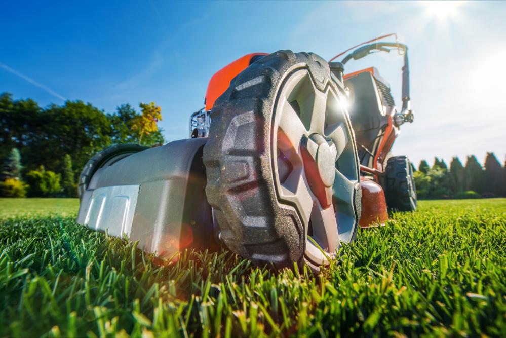 Tru-Green Lawn Care Dallas - shopping in Dallas, TX (Photo 1)