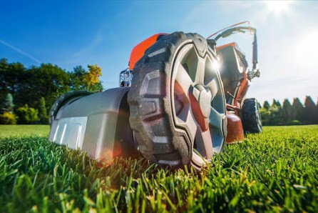 Tru-Green Lawn Care Dallas - shopping in Dallas, TX (Photo 3)