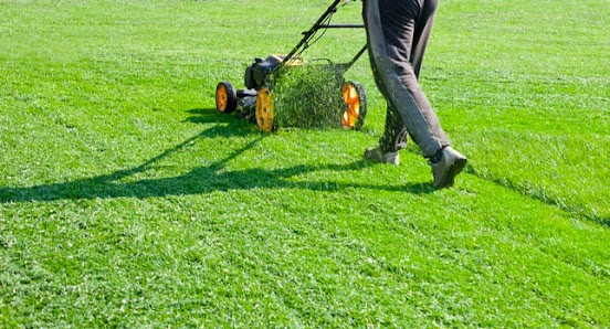 Tru-Green Lawn Care Dallas - shopping in Dallas, TX (Photo 4)