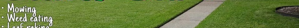 Tru-Green Lawn Care Dallas - shopping in Dallas, TX (Photo 6)