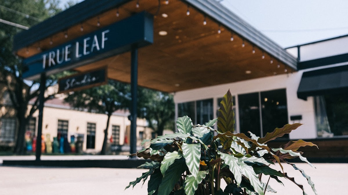 True Leaf Studio - coffee-shops in Denton, TX (Photo 1)