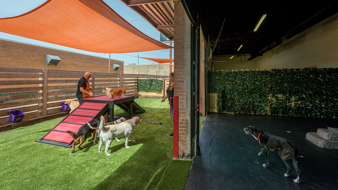 Paw Lofts - doctors in Dallas, TX (Photo 1)