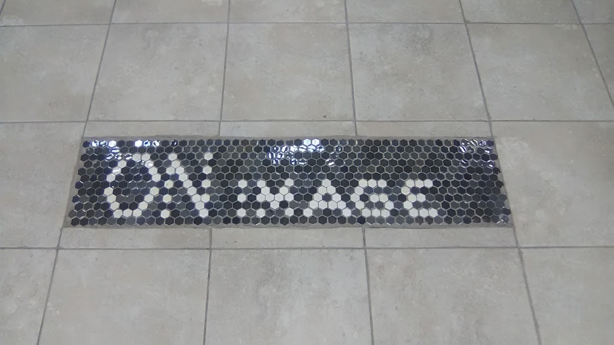 On Image SALON - beauty-spas in Carrollton, TX (Photo 1)
