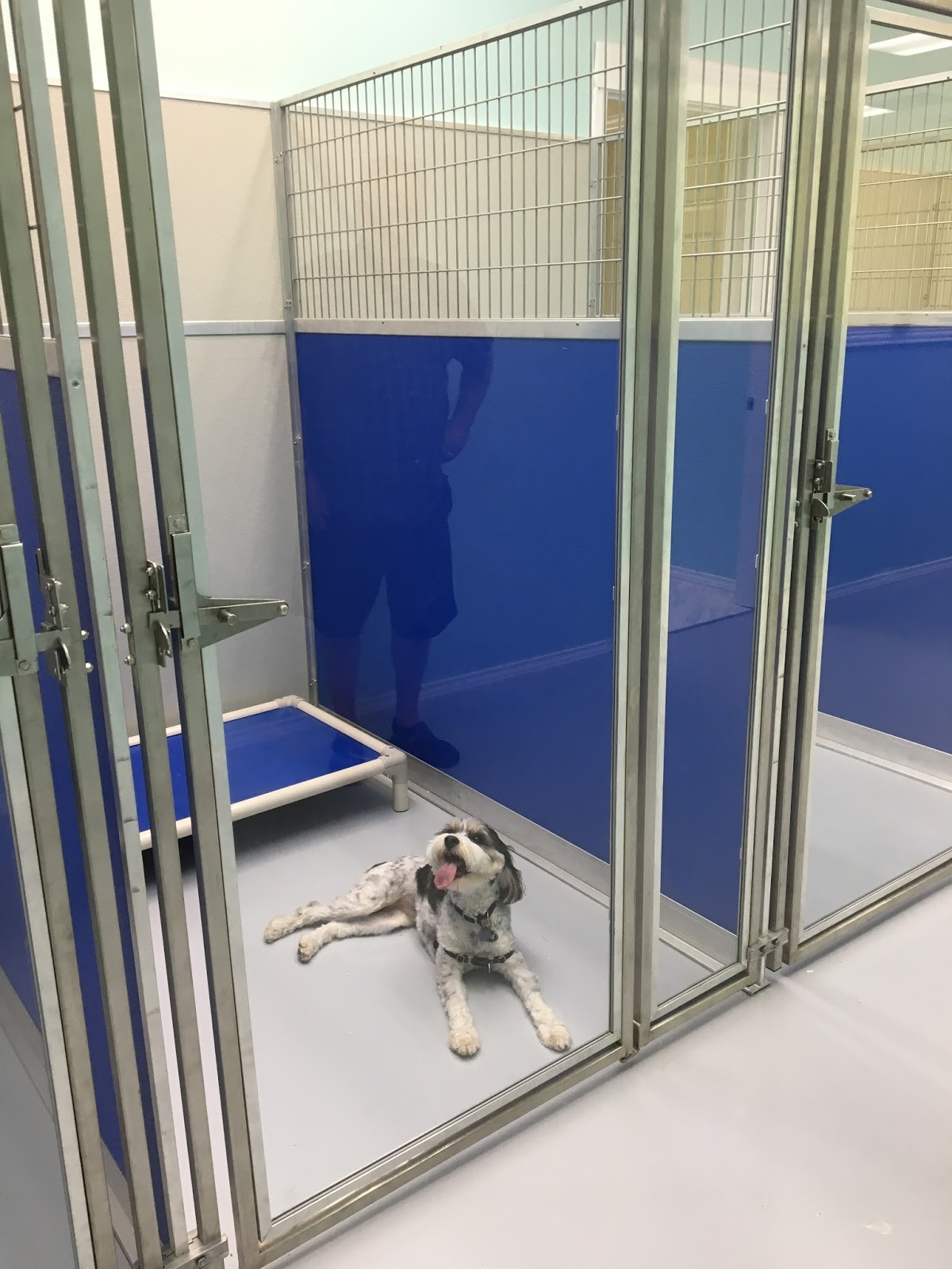 La Pawz Dog Care - shopping in Plano, TX (Photo 1)