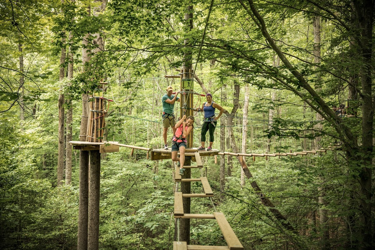 Go Ape Zipline and Adventure Park - shopping in Fort Worth, TX (Photo 1)