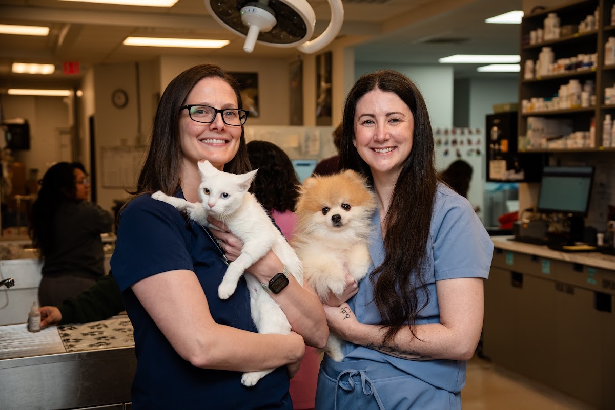 Dallas Animal Urgent Care - shopping in Dallas, TX (Photo 1)