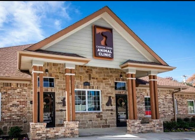 Canyon Creek Animal Clinic, A Thrive Pet Healthcare Partner - doctors in Richardson, TX (Photo 2)