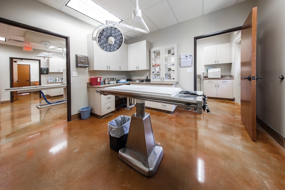 Canyon Creek Animal Clinic, A Thrive Pet Healthcare Partner - doctors in Richardson, TX (Photo 5)