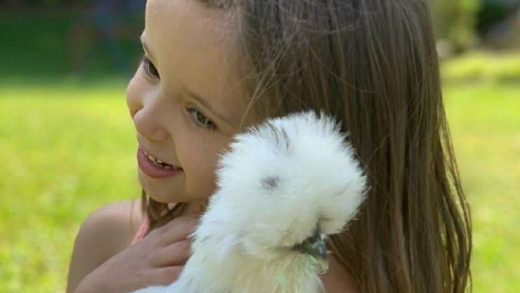 The Dunham Farm / Dunham Farm Wildlife Park / Petting Zoo - entertainment in Burleson, TX (Photo 1)