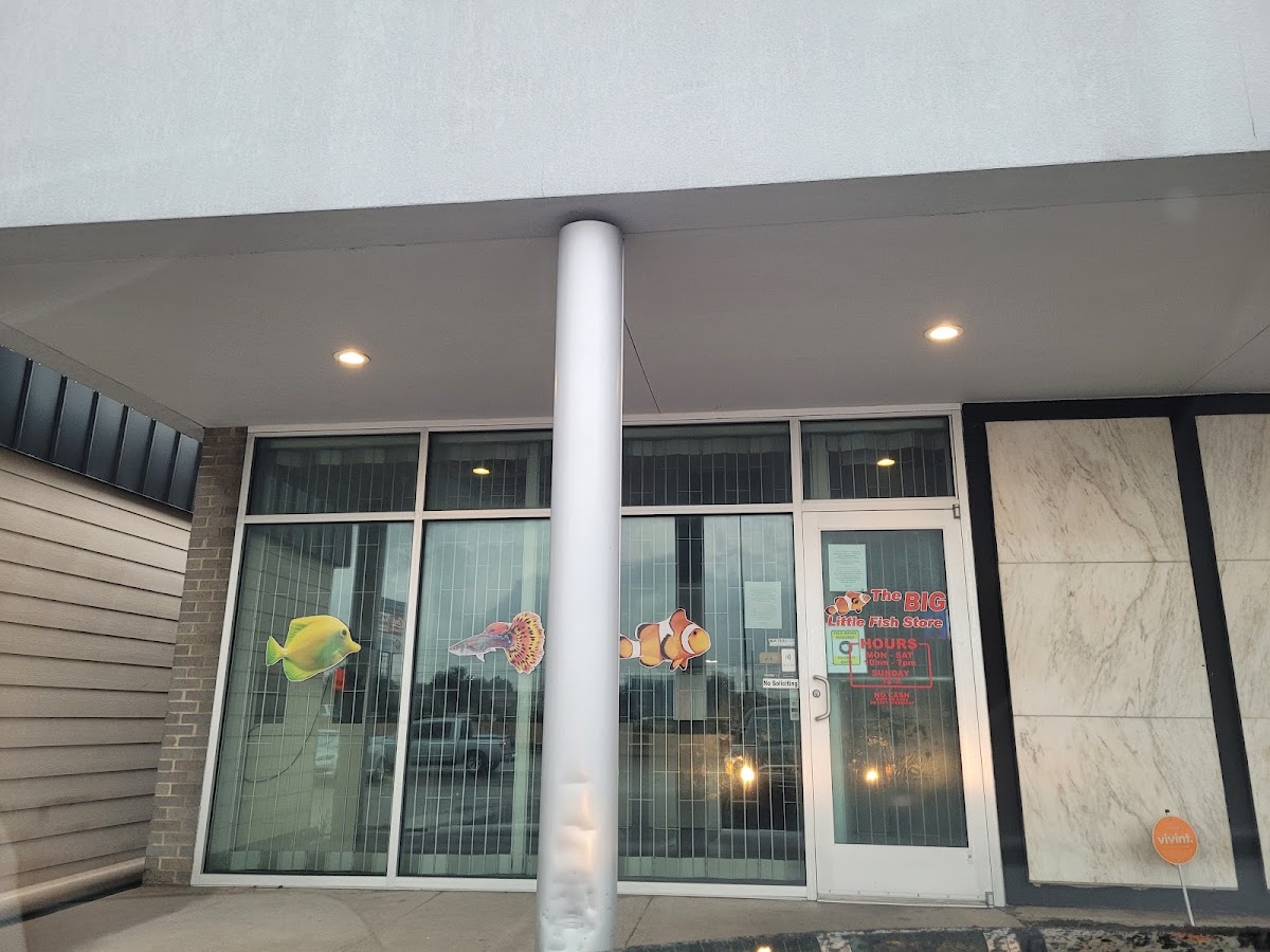 The Big Little Fish Store - restaurants in Dallas, TX (Photo 1)