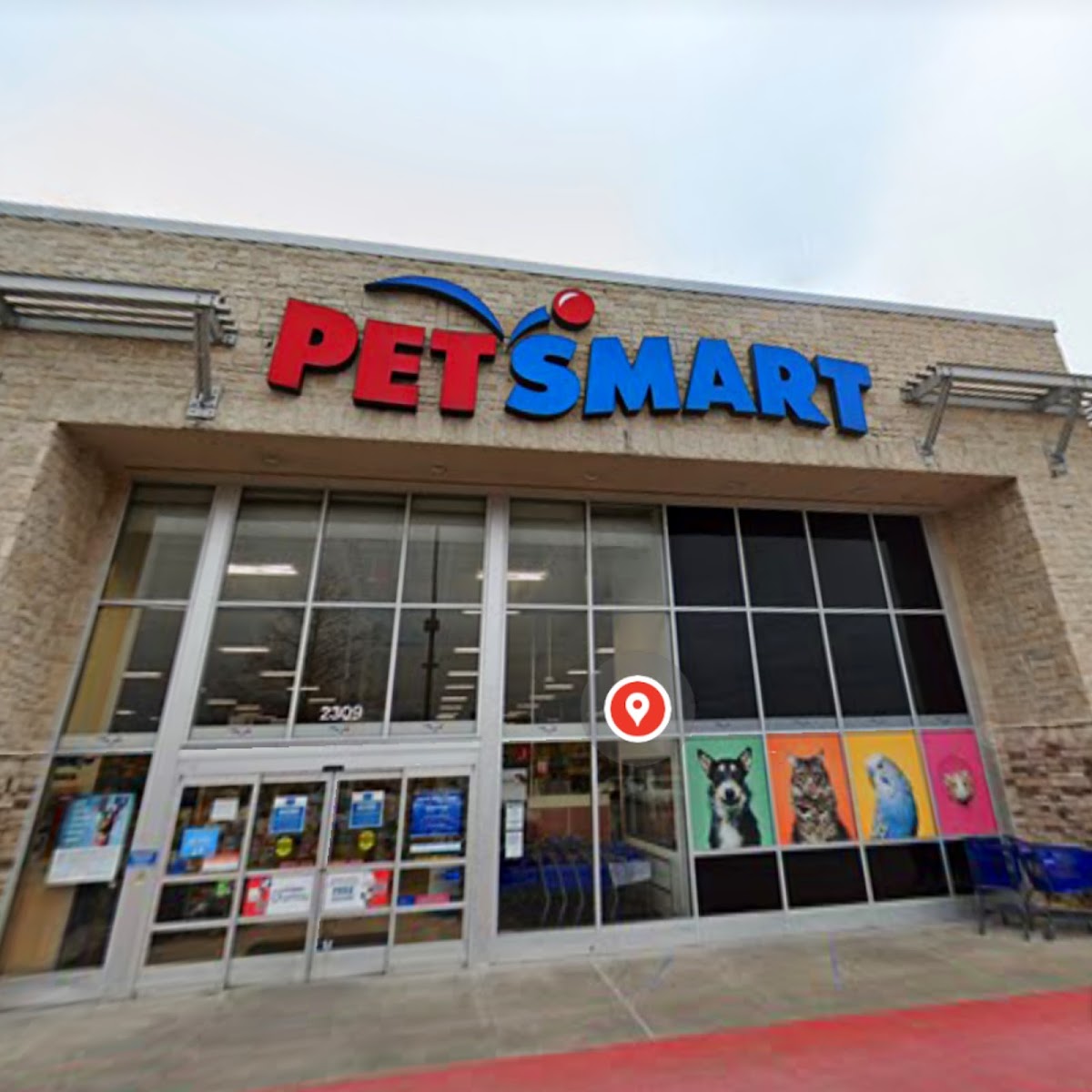 PetSmart - shopping in Grand Prairie, TX (Photo 1)
