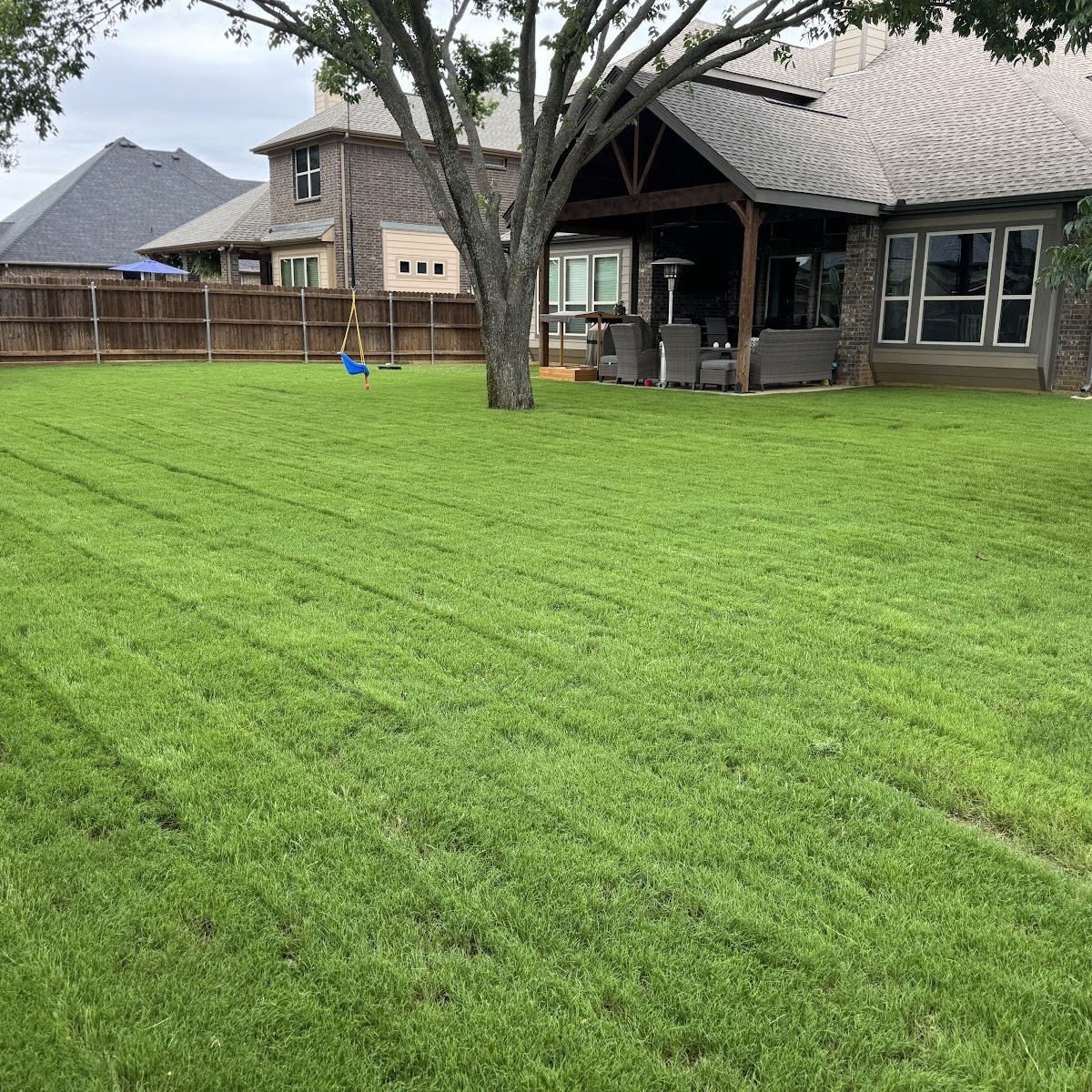 Hamann Weed Control & Exterior Pest Control - Lawn Care & Mosquito Control - pest-control in Arlington, TX (Photo 1)