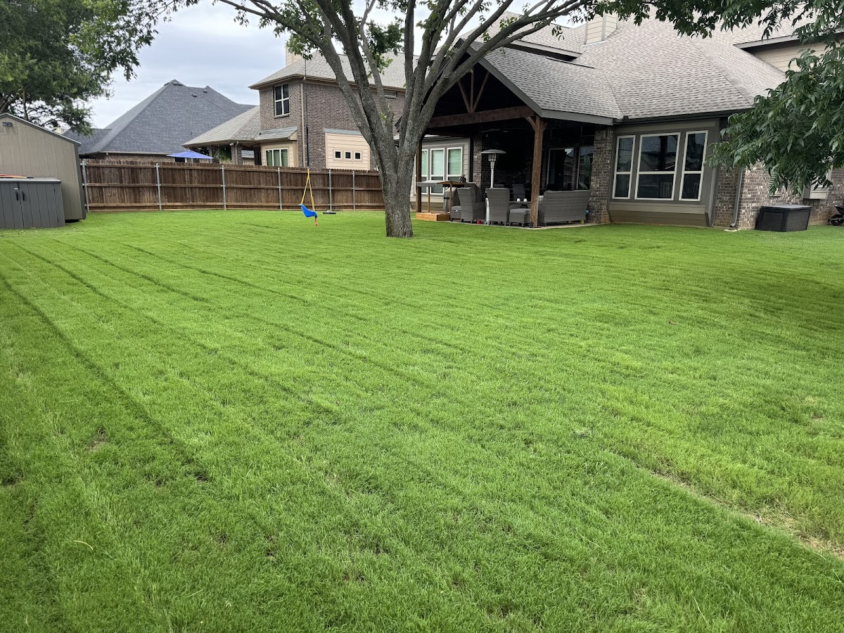 Hamann Weed Control & Exterior Pest Control - Lawn Care & Mosquito Control - pest-control in Arlington, TX (Photo 2)