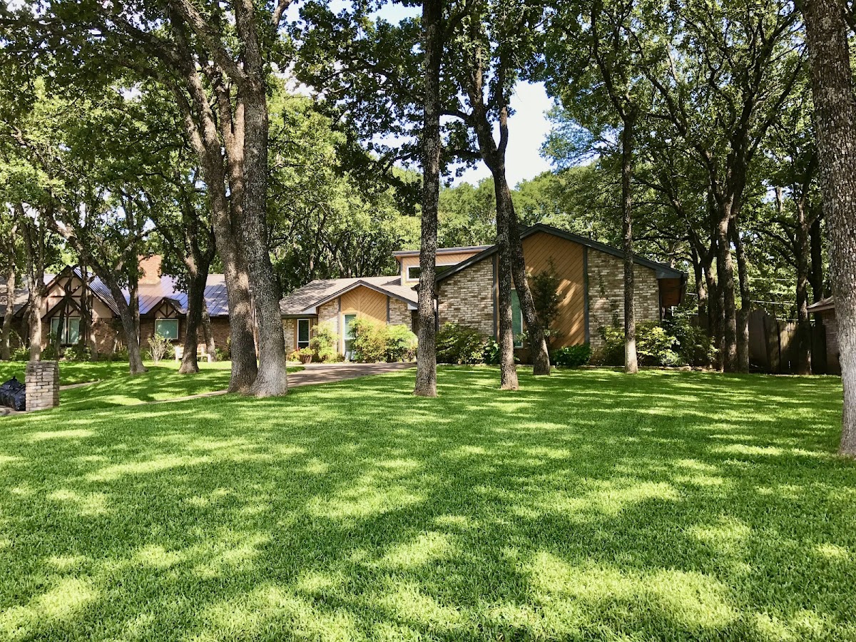 Hamann Weed Control & Exterior Pest Control - Lawn Care & Mosquito Control - pest-control in Arlington, TX (Photo 3)