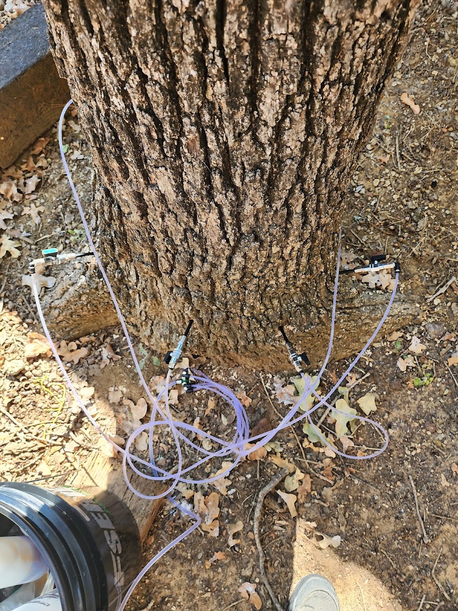 Hamann Weed Control & Exterior Pest Control - Lawn Care & Mosquito Control - pest-control in Arlington, TX (Photo 4)