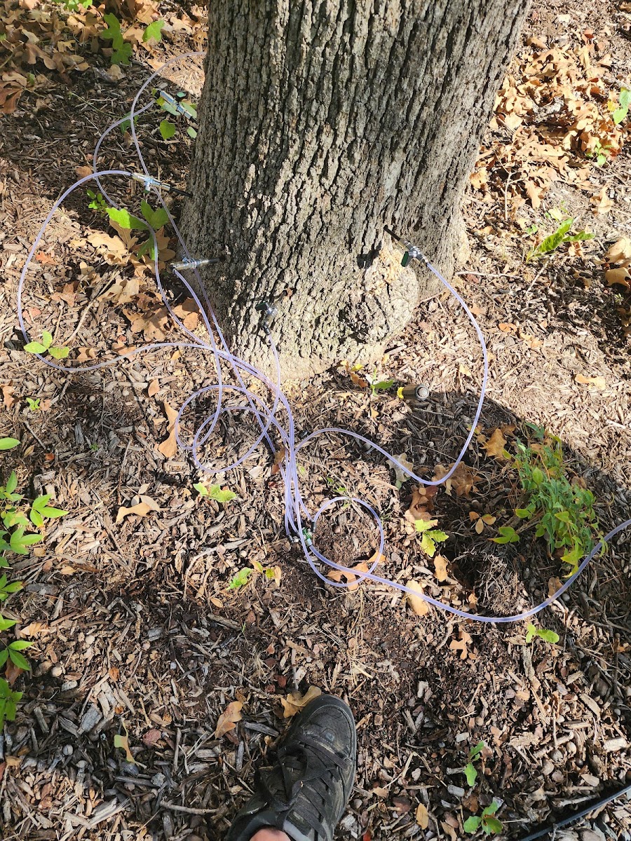 Hamann Weed Control & Exterior Pest Control - Lawn Care & Mosquito Control - pest-control in Arlington, TX (Photo 5)