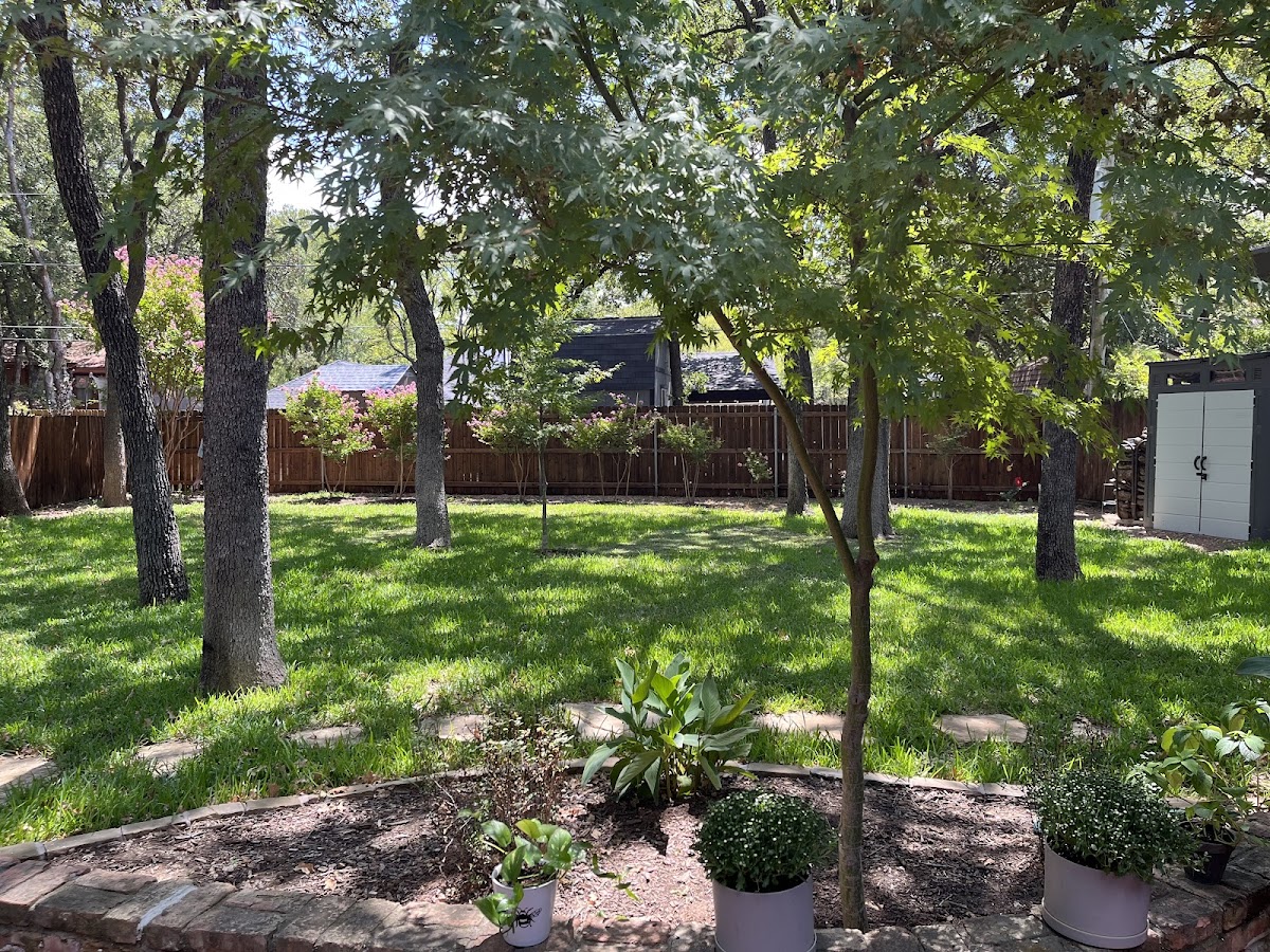 Hamann Weed Control & Exterior Pest Control - Lawn Care & Mosquito Control - pest-control in Arlington, TX (Photo 6)