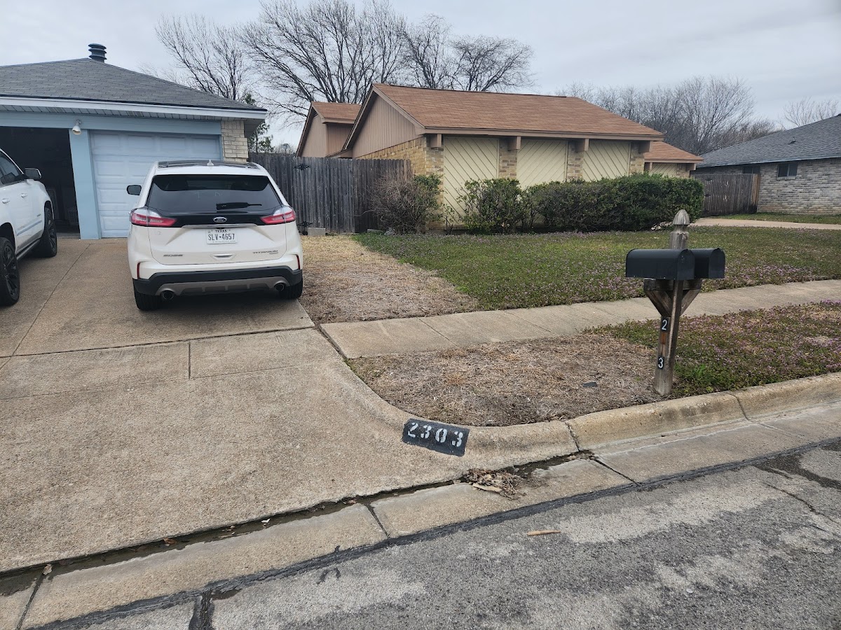 Hamann Weed Control & Exterior Pest Control - Lawn Care & Mosquito Control - pest-control in Arlington, TX (Photo 7)
