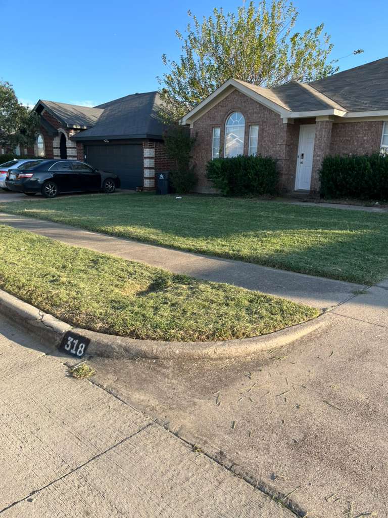 DIMESA LANDSCAPING - shopping in Arlington, TX (Photo 1)