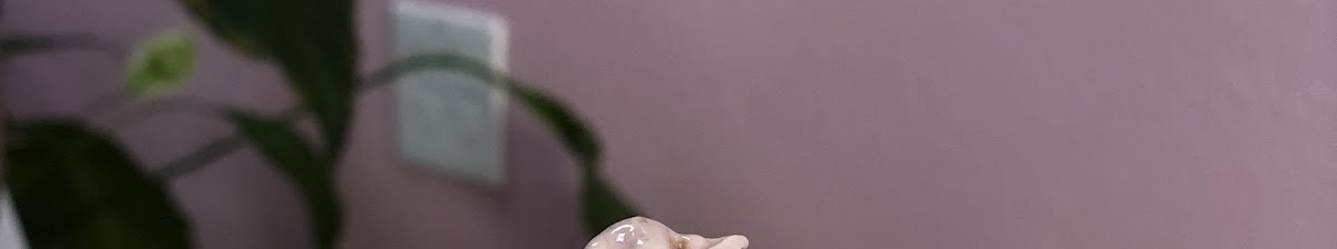 OMGelato - ice-cream in Plano, TX (Photo 4)