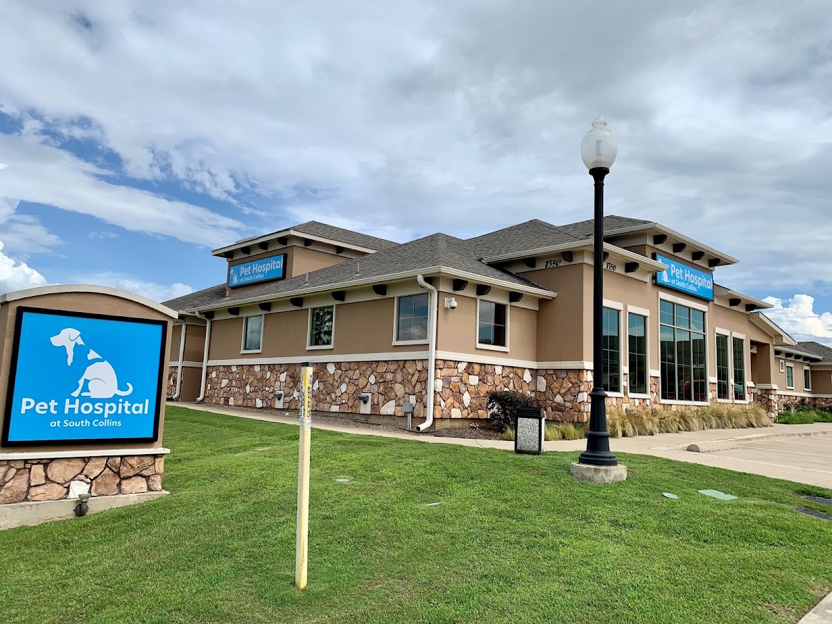 Pet Hospital at South Collins, A Thrive Pet Healthcare Partner - doctors in Fort Worth, TX (Photo 1)