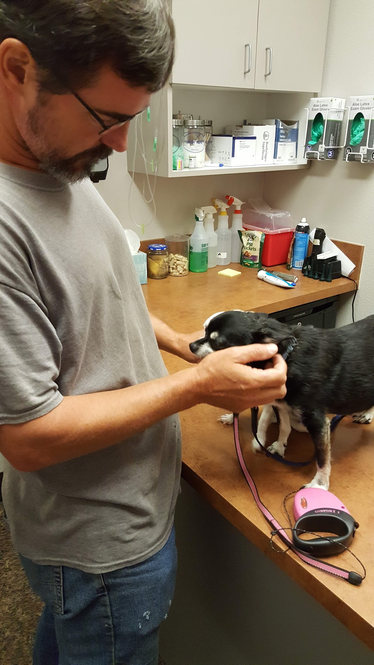 Animal Clinic of Grand Prairie - doctors in Grand Prairie, TX (Photo 1)