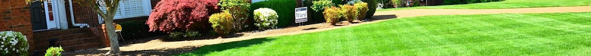 Gomez lawn/Tree - shopping in Arlington, TX (Photo 5)