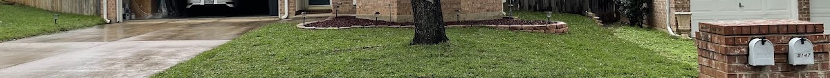 Gomez lawn/Tree - shopping in Arlington, TX (Photo 9)
