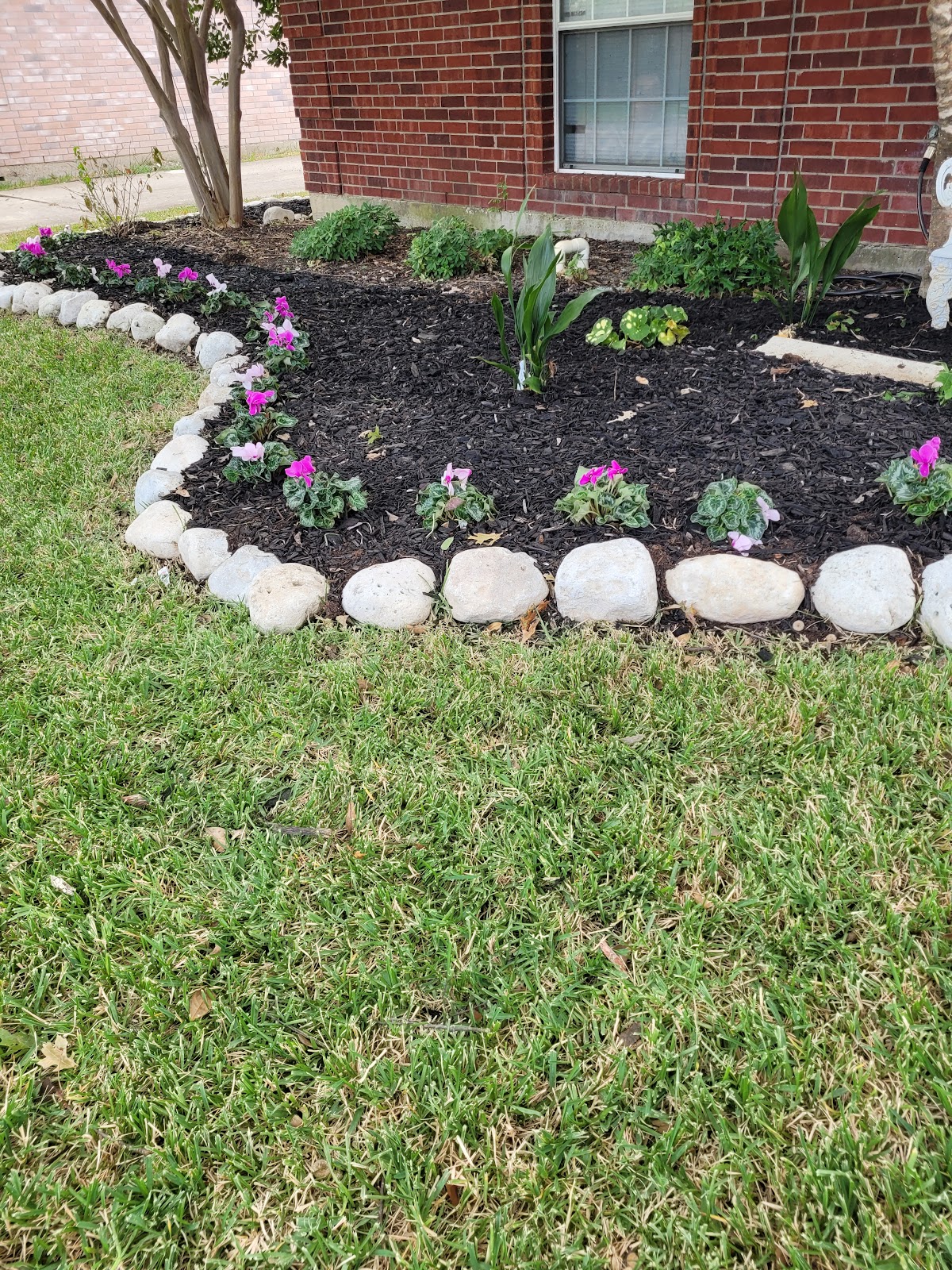 Mila Profesional Landscape & Lawn Care - shopping in Garland, TX (Photo 1)