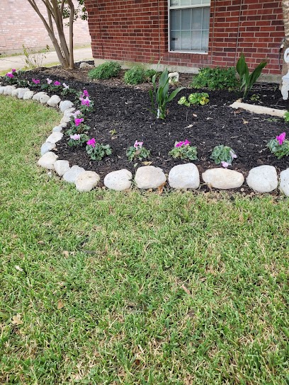 Mila Profesional Landscape & Lawn Care - shopping in Garland, TX (Photo 2)