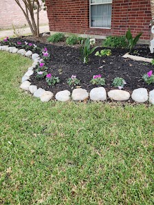 Mila Profesional Landscape & Lawn Care - shopping in Garland, TX (Photo 3)