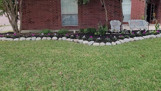 Mila Profesional Landscape & Lawn Care - shopping in Garland, TX (Photo 5)