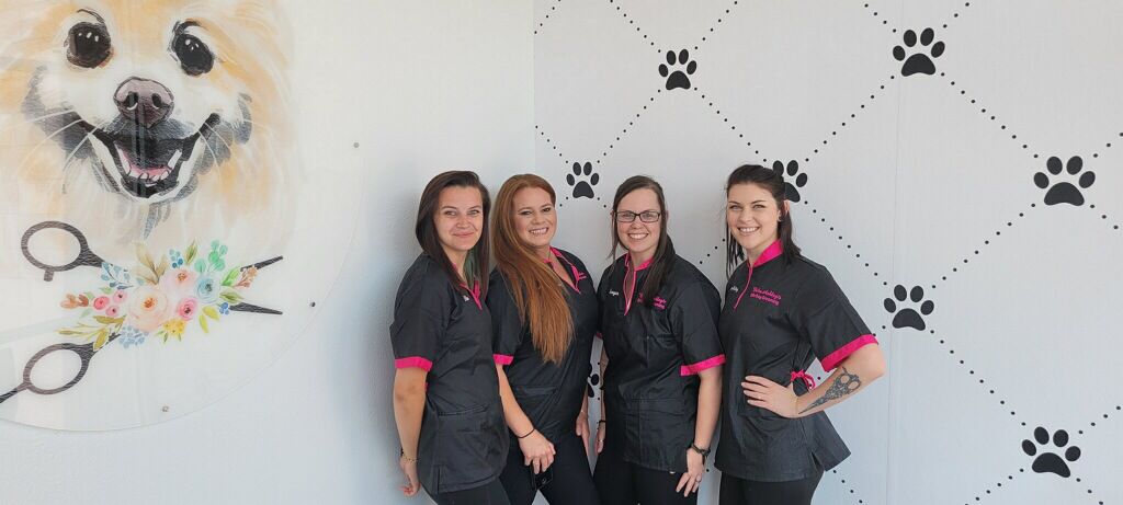 Erika Ashley's Elite Dog Grooming - shopping in Plano, TX (Photo 1)