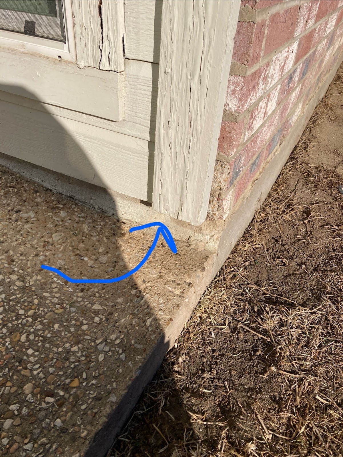 Safe Pro Pest Control - pest-control in Plano, TX (Photo 1)