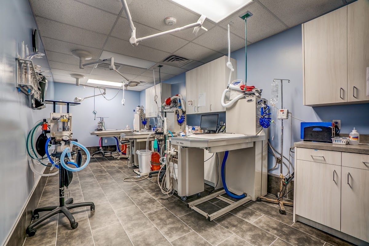 Hillside Veterinary Clinic - doctors in Dallas, TX (Photo 1)