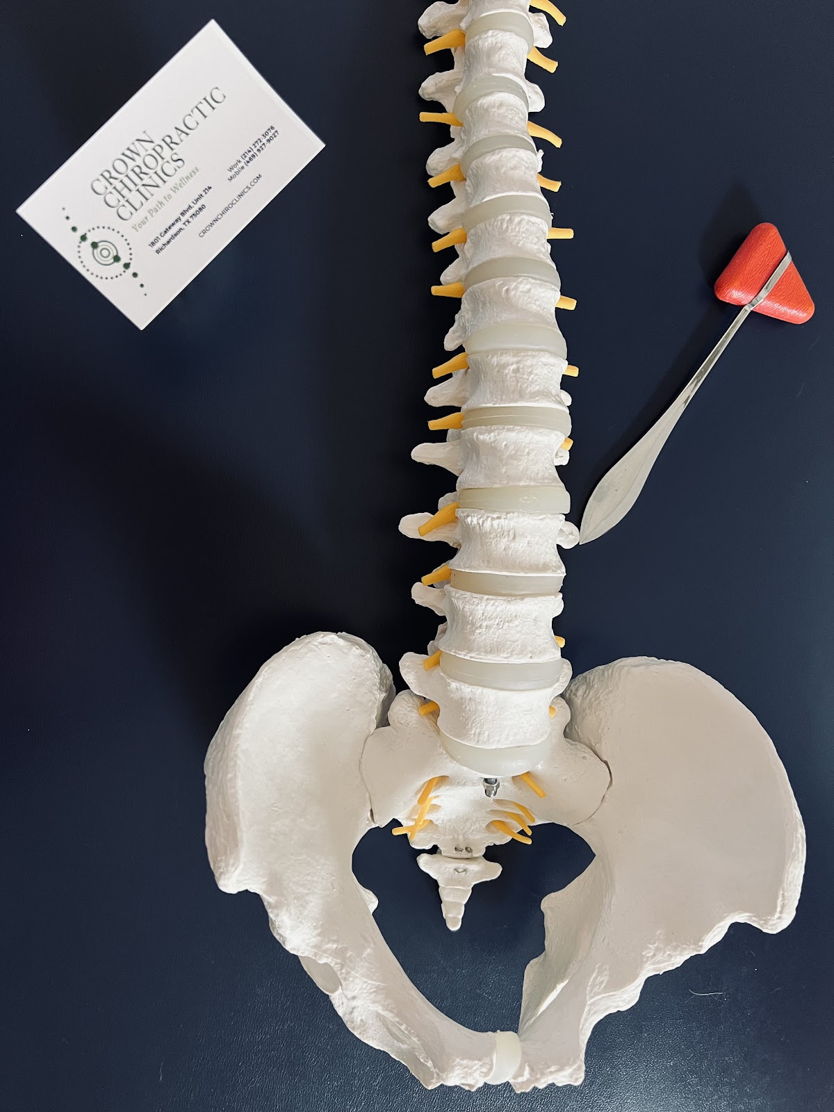 Crown Chiropractic Clinics - shopping in Richardson, TX (Photo 1)