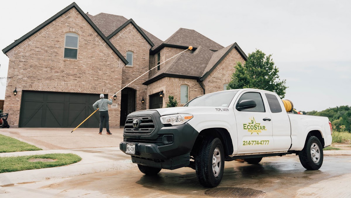 EcoStar Pest Control: Pest Control Near Dallas & Carrollton, TX - pest-control in Carrollton, TX (Photo 1)