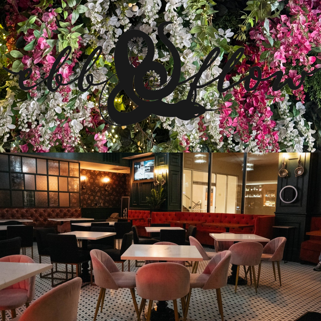 Ebb & Flow - restaurants in Plano, TX (Photo 1)