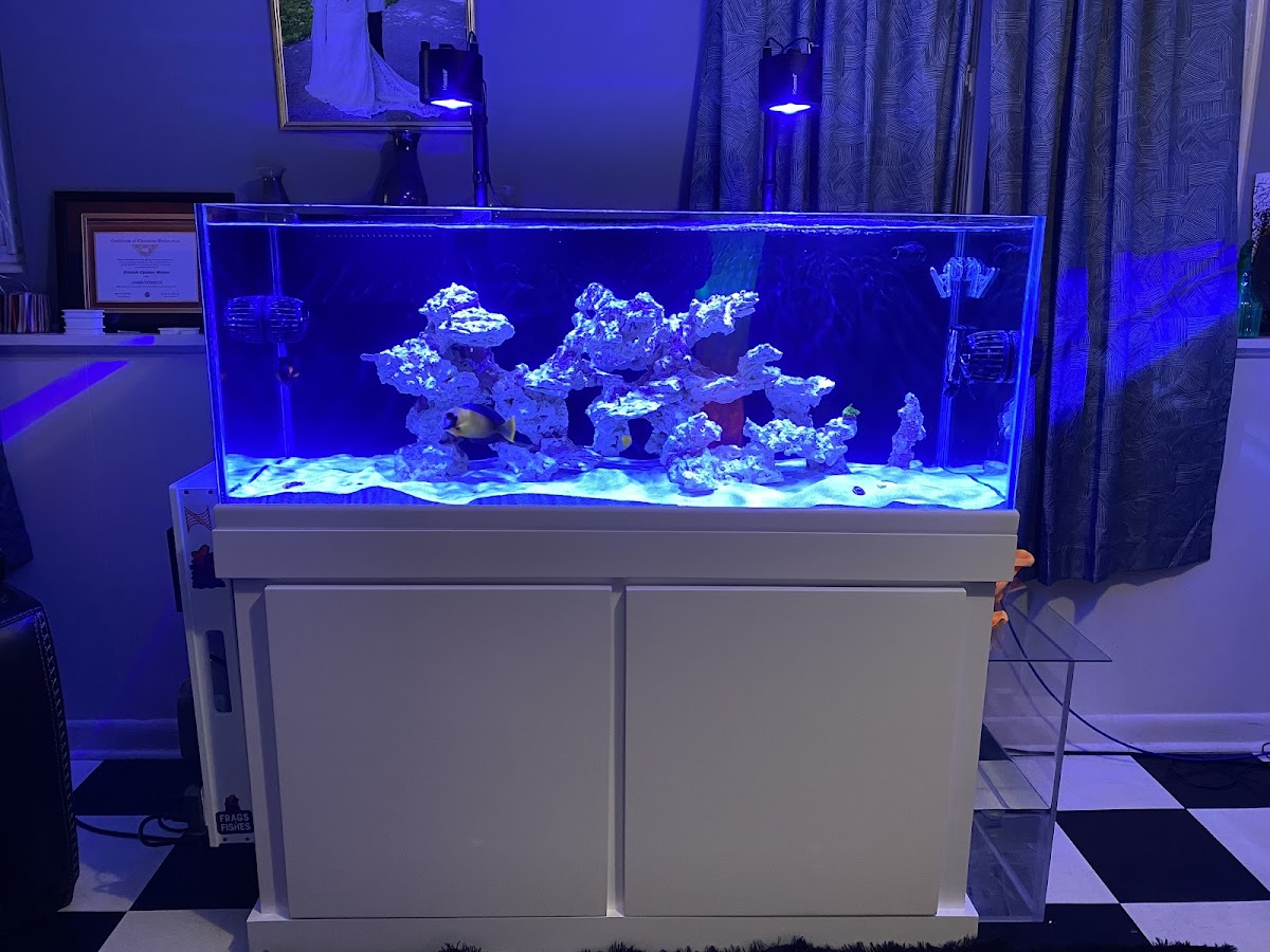 Planet Aquariums - shopping in Fort Worth, TX (Photo 1)